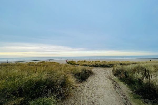 Appartement te huur / Westende