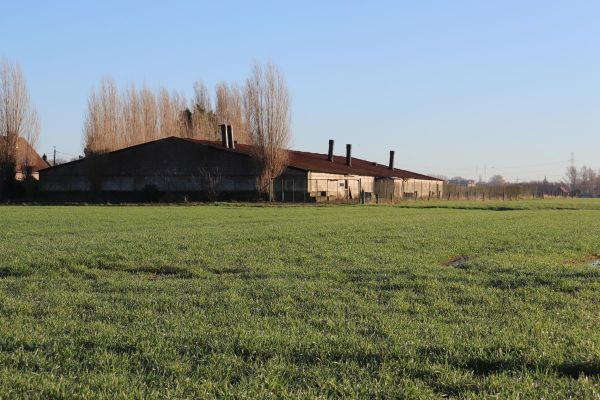 Bedrijfsgebouw
                            te koop in Tiegem