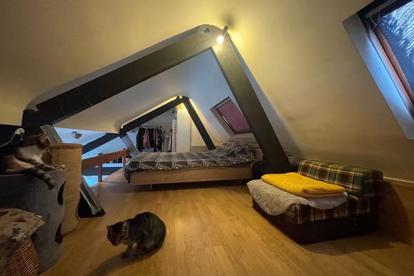 Appartement te koop / Brugge