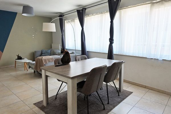 Appartement te huur in Eeklo