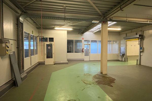Industrieel te huur / Maasmechelen