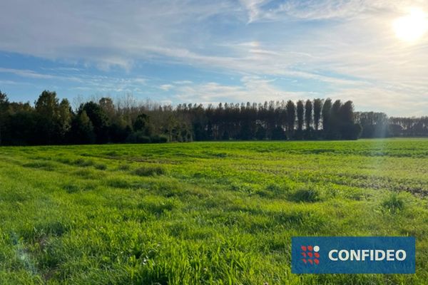 Landbouwgrond
                                te koop in Halen