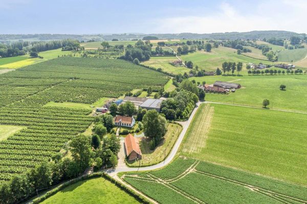 Hoeve
                            te koop in Kwaremont