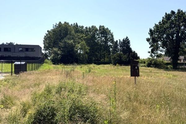 Grond te koop / Heusden