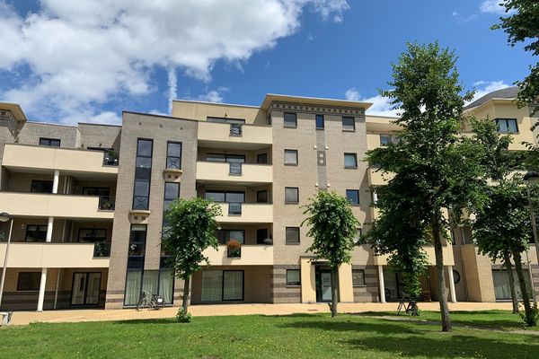 Estate main image