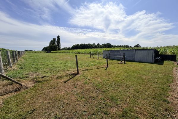 Huis te koop / Kermt