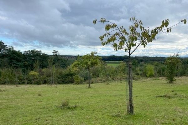 Grond te koop / Loksbergen
