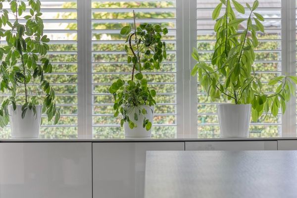 Huis te koop / Hamme