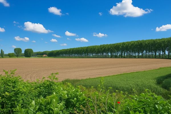 Grond
                                te koop
                                in Maldegem