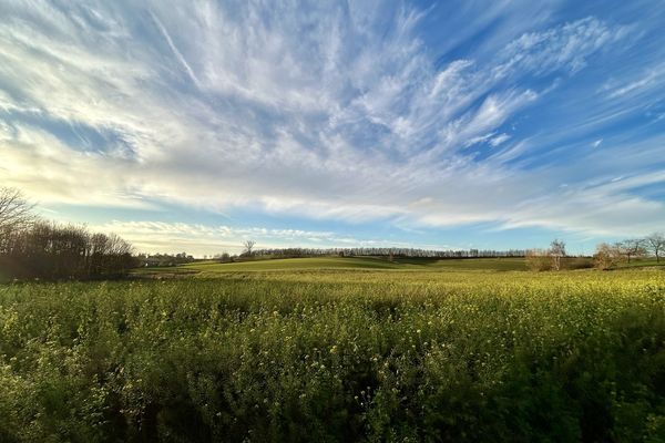 Huis te huur / Heverlee