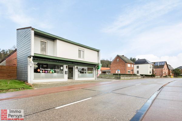 Commercieel te koop / Testelt
