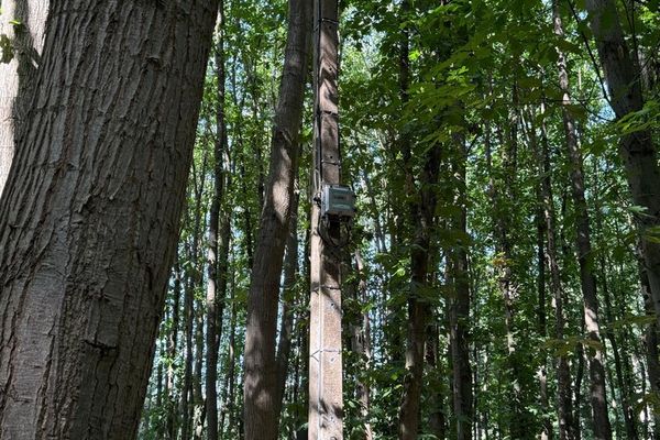 Grond te koop / Houthalen-Helchteren