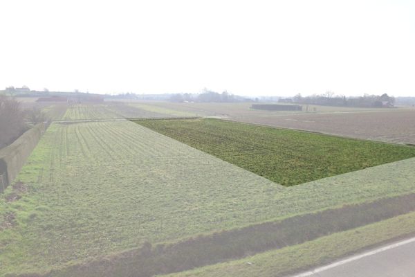 Bouwgrond  in Oudenaarde