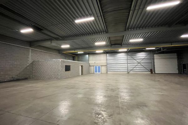 Industrieel te huur / Hasselt