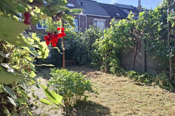 tuin