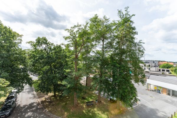 Appartement optie koop / Deerlijk