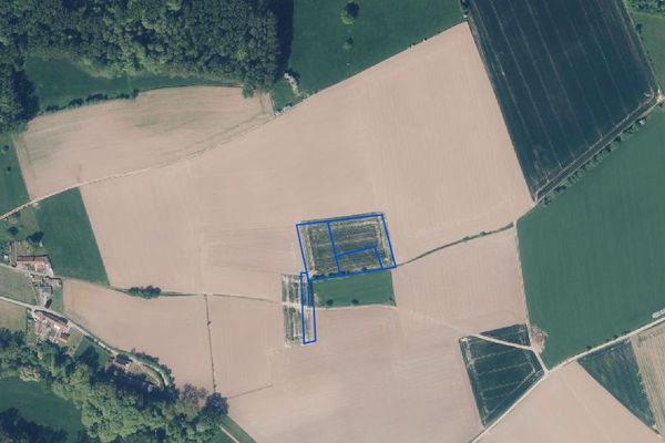 Grond
                                te koop
                                in Brakel