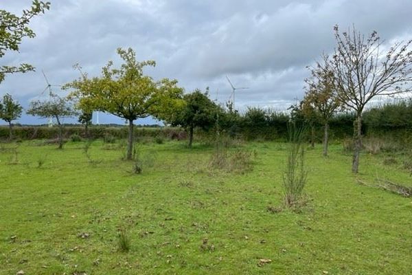 Grond te koop / Loksbergen