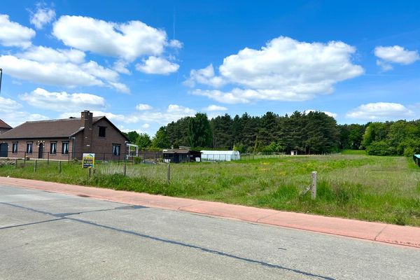 Bouwgrond
                                te koop in Messelbroek