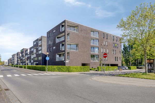 Estate main image