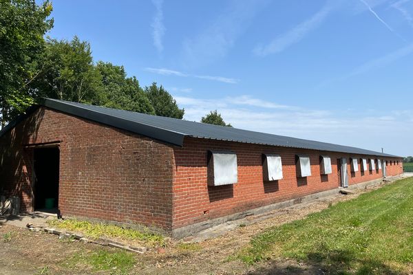 Magazijn
                            te huur in Waregem