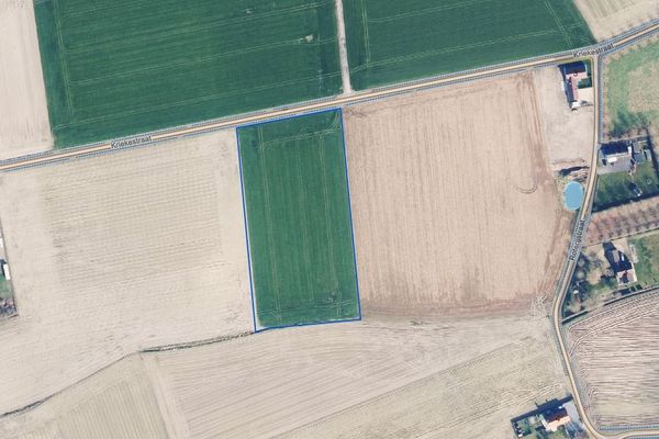 Terrain
                                a vendre
                                in Pittem