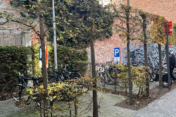 Huis te koop / Leuven