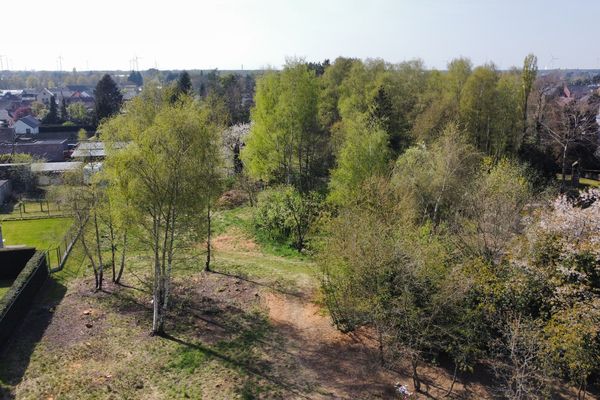 Bouwgrond
                            te koop in Lommel