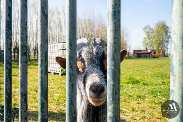 Huis te koop / Adegem