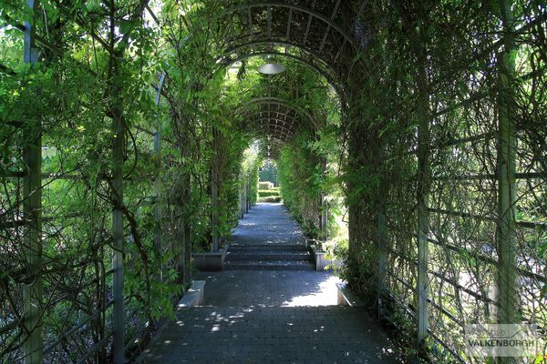 Appartement te koop / Genk