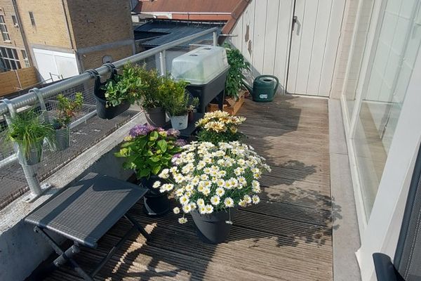Appartement te huur / Koekelare