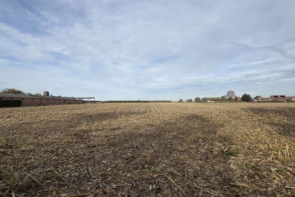 Grond te koop / Herk-de-Stad