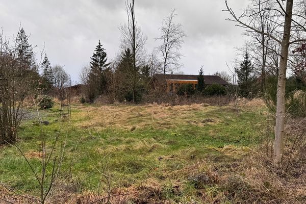 Grond
                                te koop
                                in Durbuy