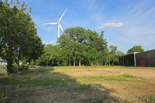Commercieel te koop / Hasselt