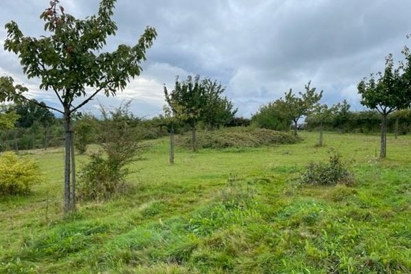 Grond te koop / Loksbergen