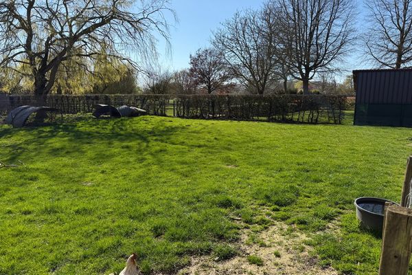 Terrain constructible
                            a vendre in Esplechin