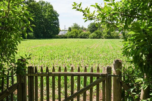 Huis te koop / Zonhoven