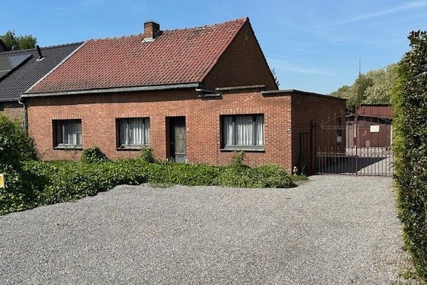 Huis
                                optie koop
                                in Zelem