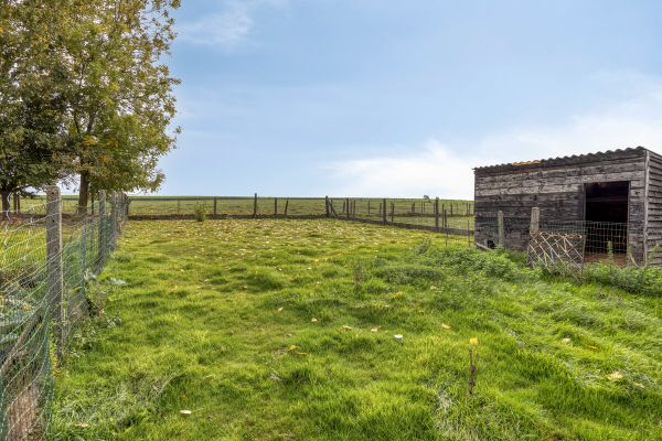 Huis te koop / Nederhasselt
