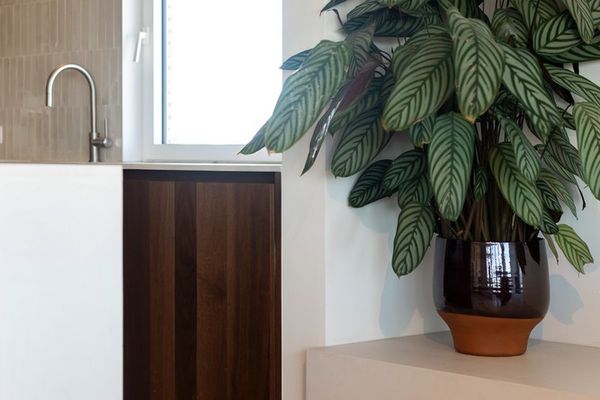 Appartement te koop / Hasselt