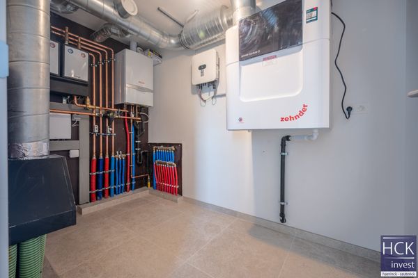 Huis te huur / Kruishoutem