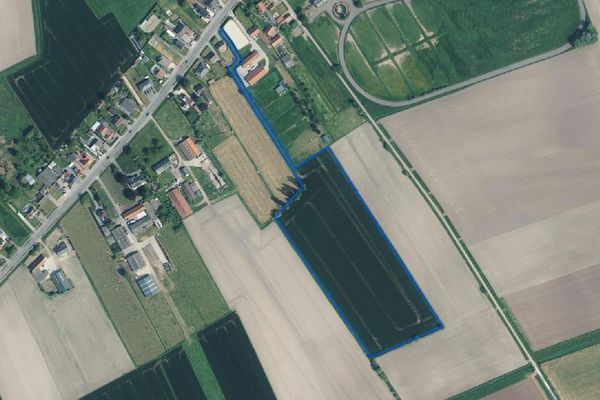 Landbouwgrond
                            te koop in Maldegem