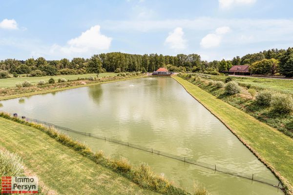 Commercieel te koop / Messelbroek