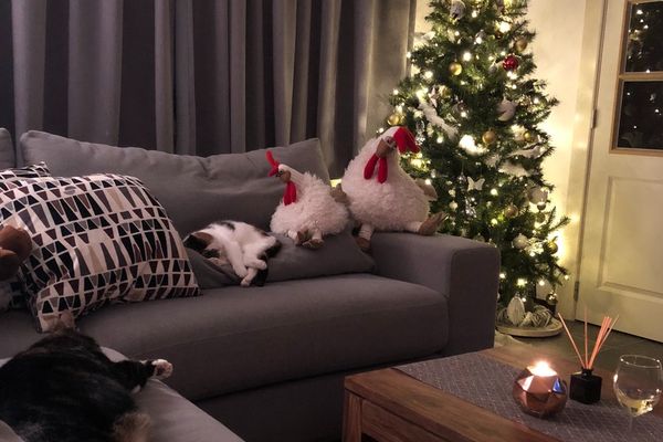 Huis te koop / Brugge