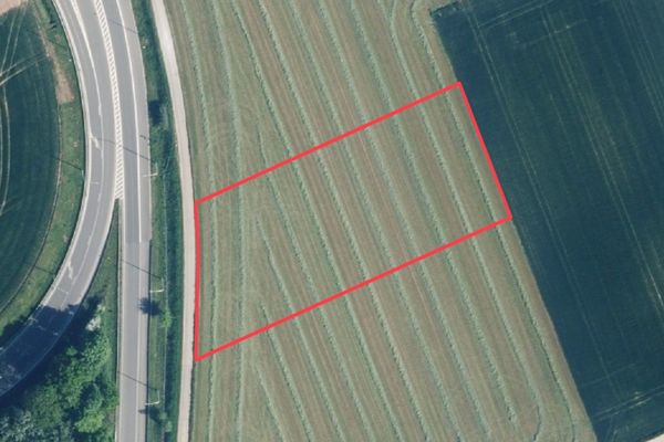 Landbouwgrond
                                te koop in Riemst