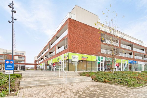 Handelspand
                            te koop in Zwevegem