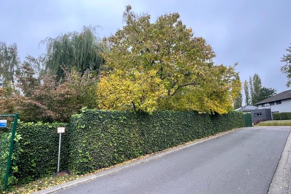 Grond te koop / Leuven