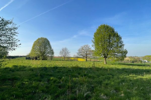 Grond te koop / Heverlee