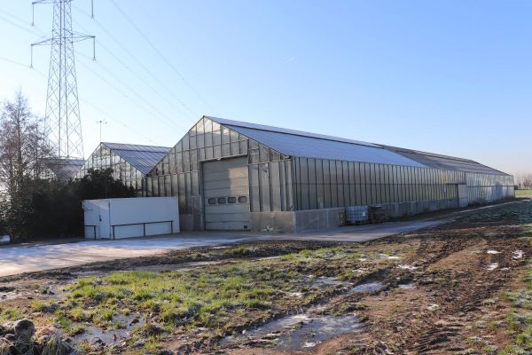 Opslagplaats
                            te koop in Tiegem