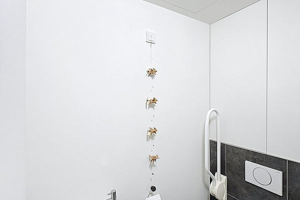Assistentiewoning  te huur / Hasselt